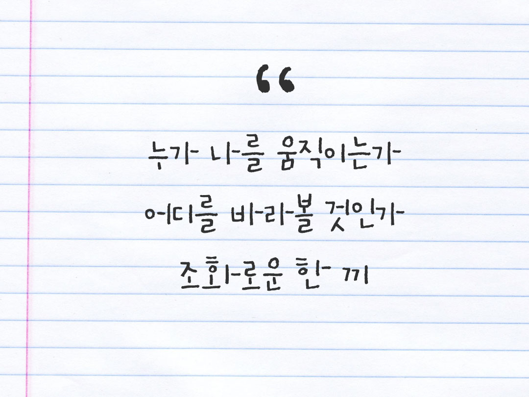 2026년 1월 26일 피어나네 감사노트｜일상을 행복으로 바꾸는 기록 하루 3줄 감사일기