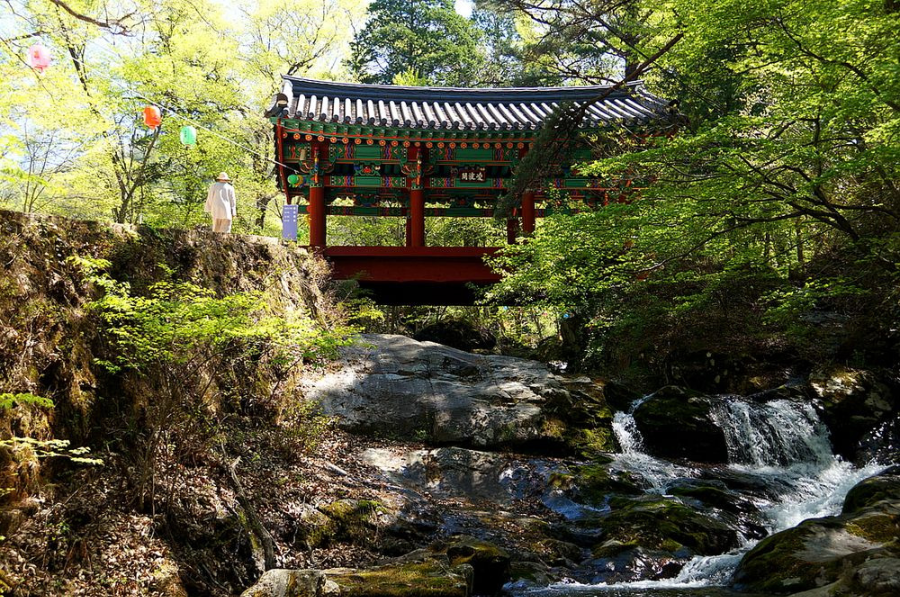 곡성 가볼만한 곳