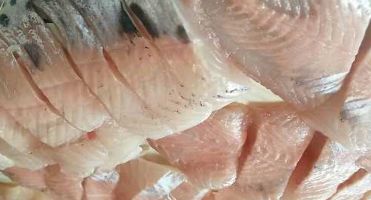 산천어회