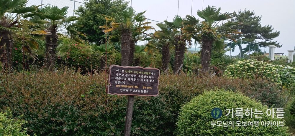 안덕면 주민자치위원회 조성 안내판
