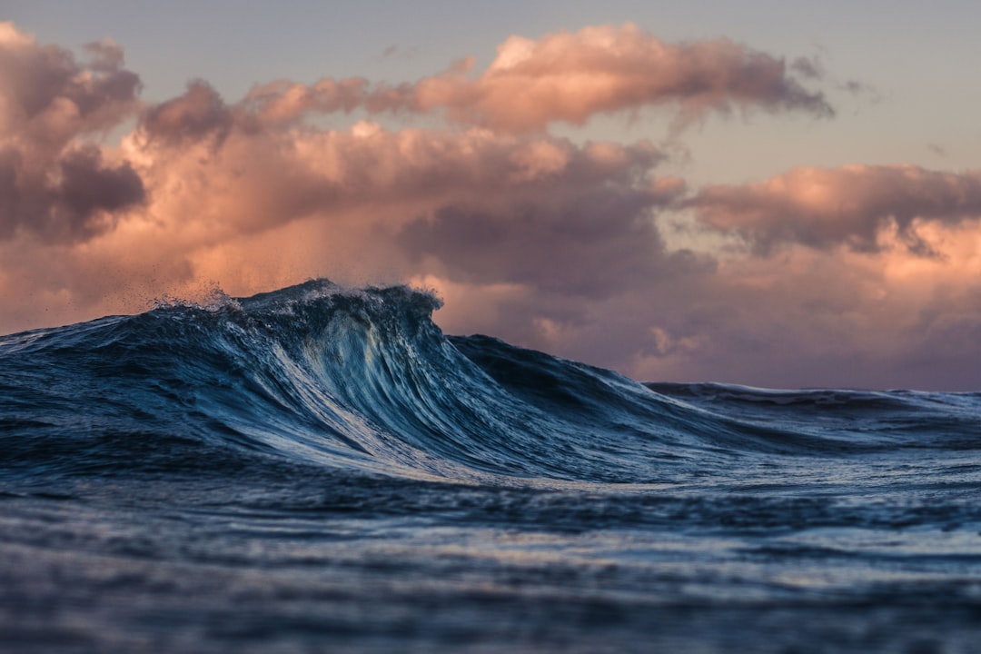 Wave