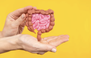 위장 장애 사진