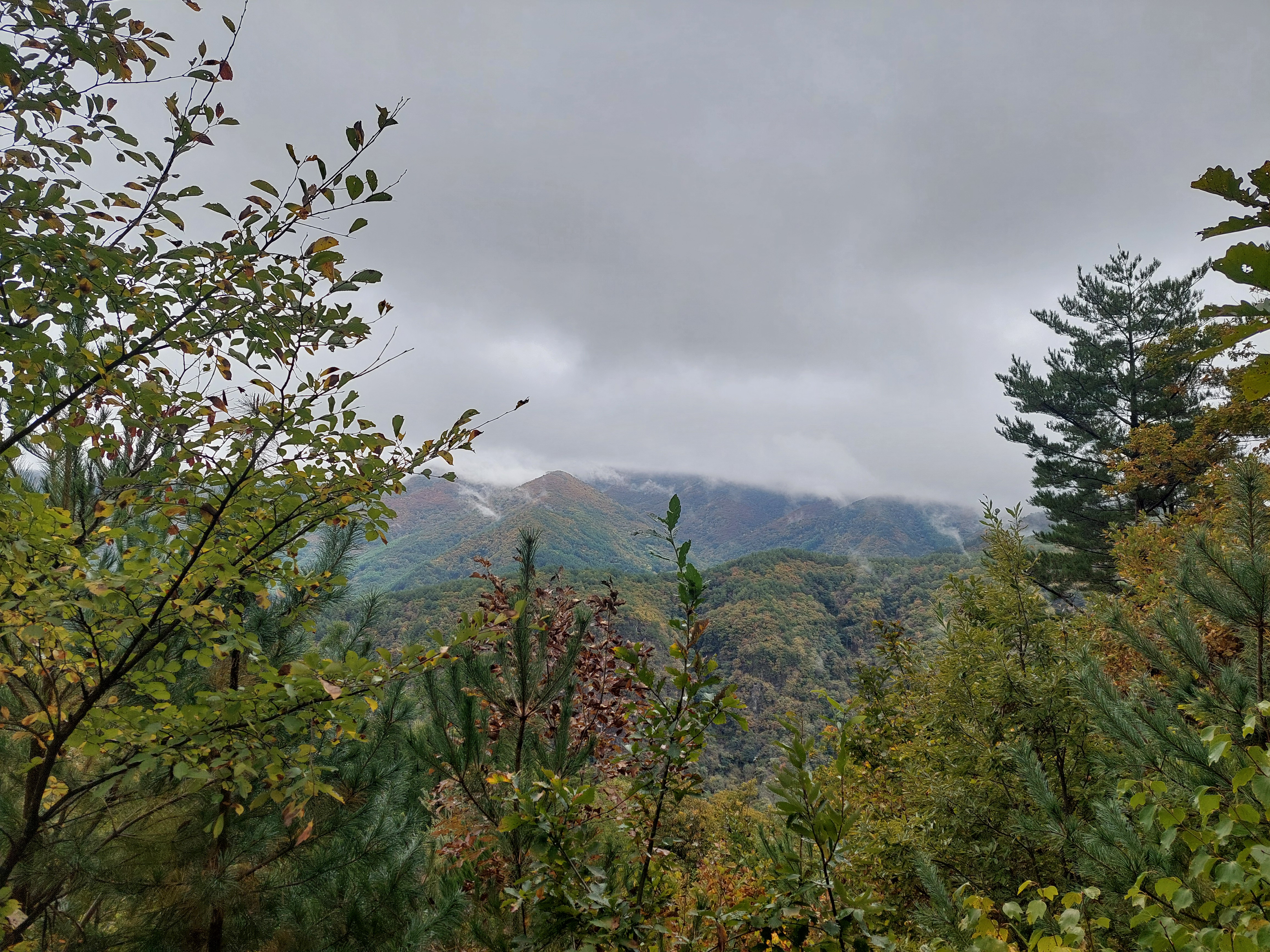 민둥산
