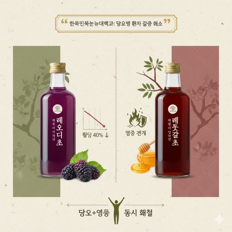 두 가지 기능성 식초를 대비하여 보여주는 분할 화면 인포그래픽. 왼쪽에는 보라색 현미오디식초병과 신선한 오디 열매, '혈당 40% ↓' 그래프. 오른쪽에는 검붉은 현미옻꿀식초병과 옻나무 가지, 벌꿀, '염증 제거' 아이콘. 중앙 하단에는 당뇨+염증 동시 해결을 상징하는 화살표와 건강한 사람 실루엣. 상단에 한국민족문화대백과 인용구 '당뇨병 환자 갈증 해소'. 약효를 강조하는 그린-퍼플-브라운 천연 컬러 조합