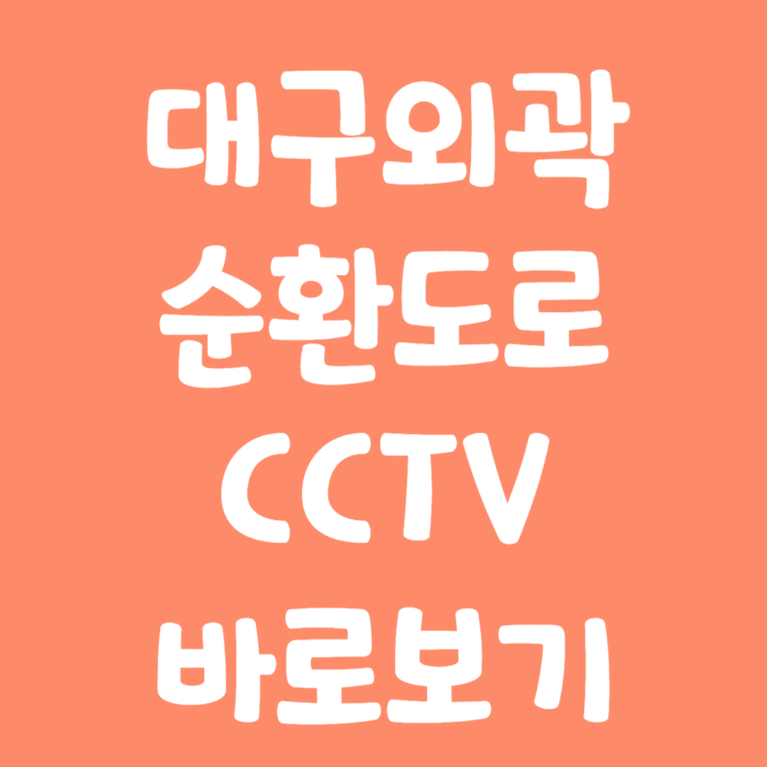 실시간 대구외곽 순환도로 CCTV 바로보기