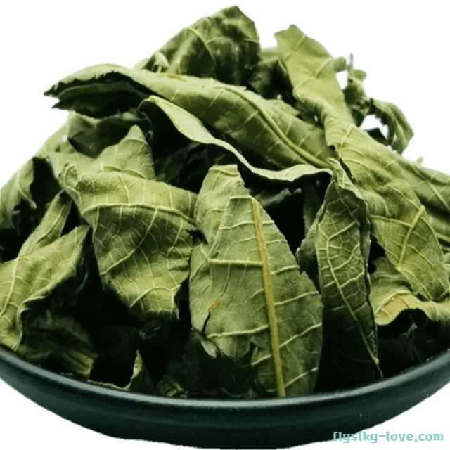 말린 무화과 잎