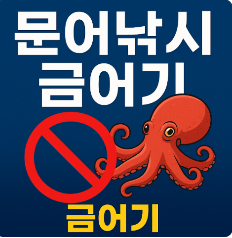 문어낚시 금어기