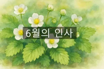 6월 날짜별인사말 최신판 총정리_5