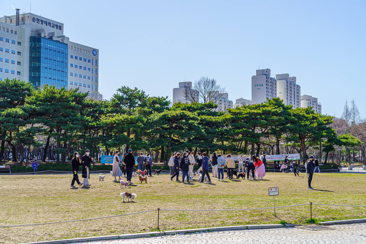 중앙공원 애견운동장