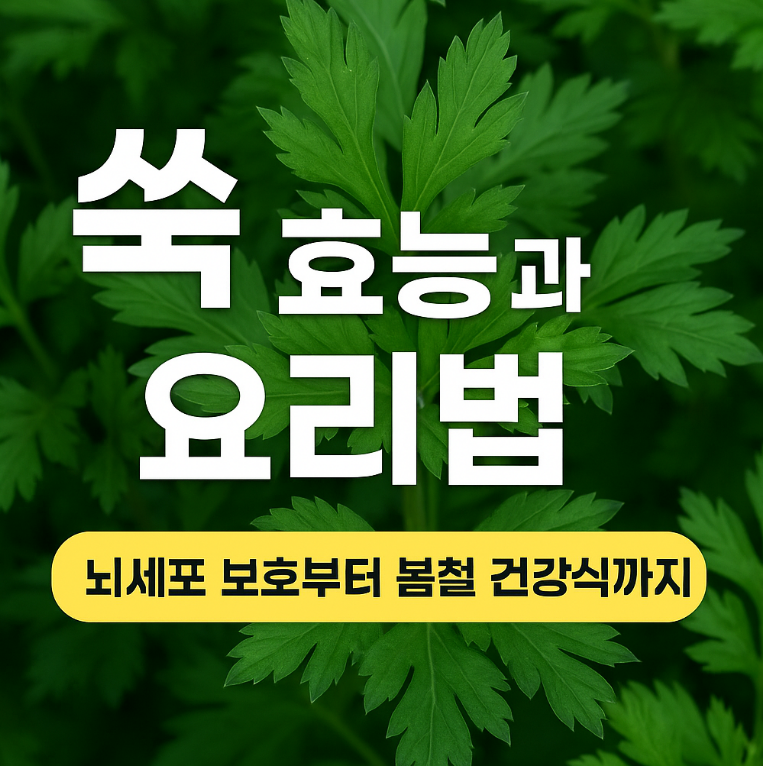 쑥효능