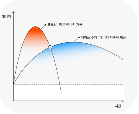 요헤미티-에너지젤-효과