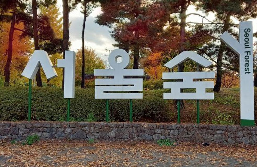 2023-서울-단풍명소