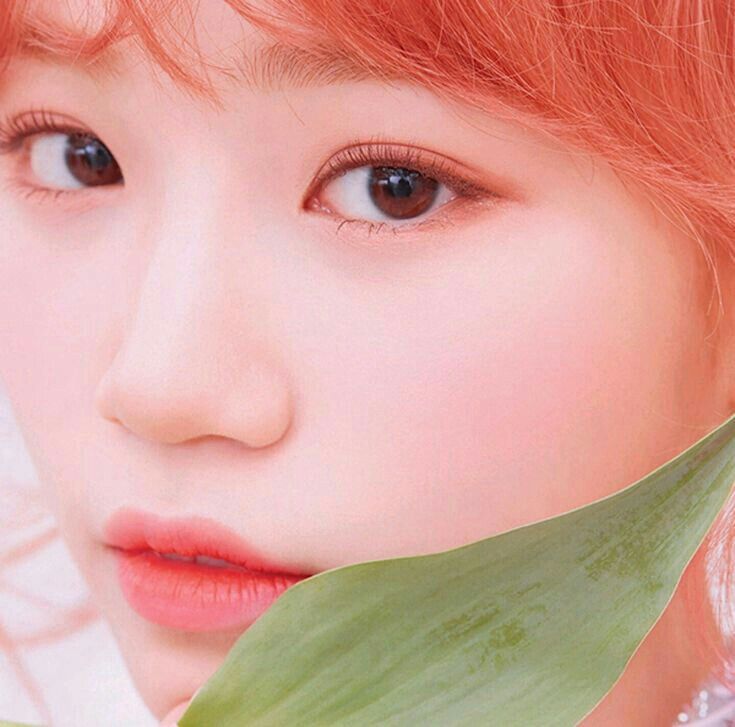 김채원 사진 모음