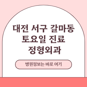 대전 서구 갈마동 토요일 정형외과 진료 병원