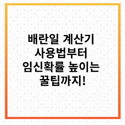 배란일 계산기
