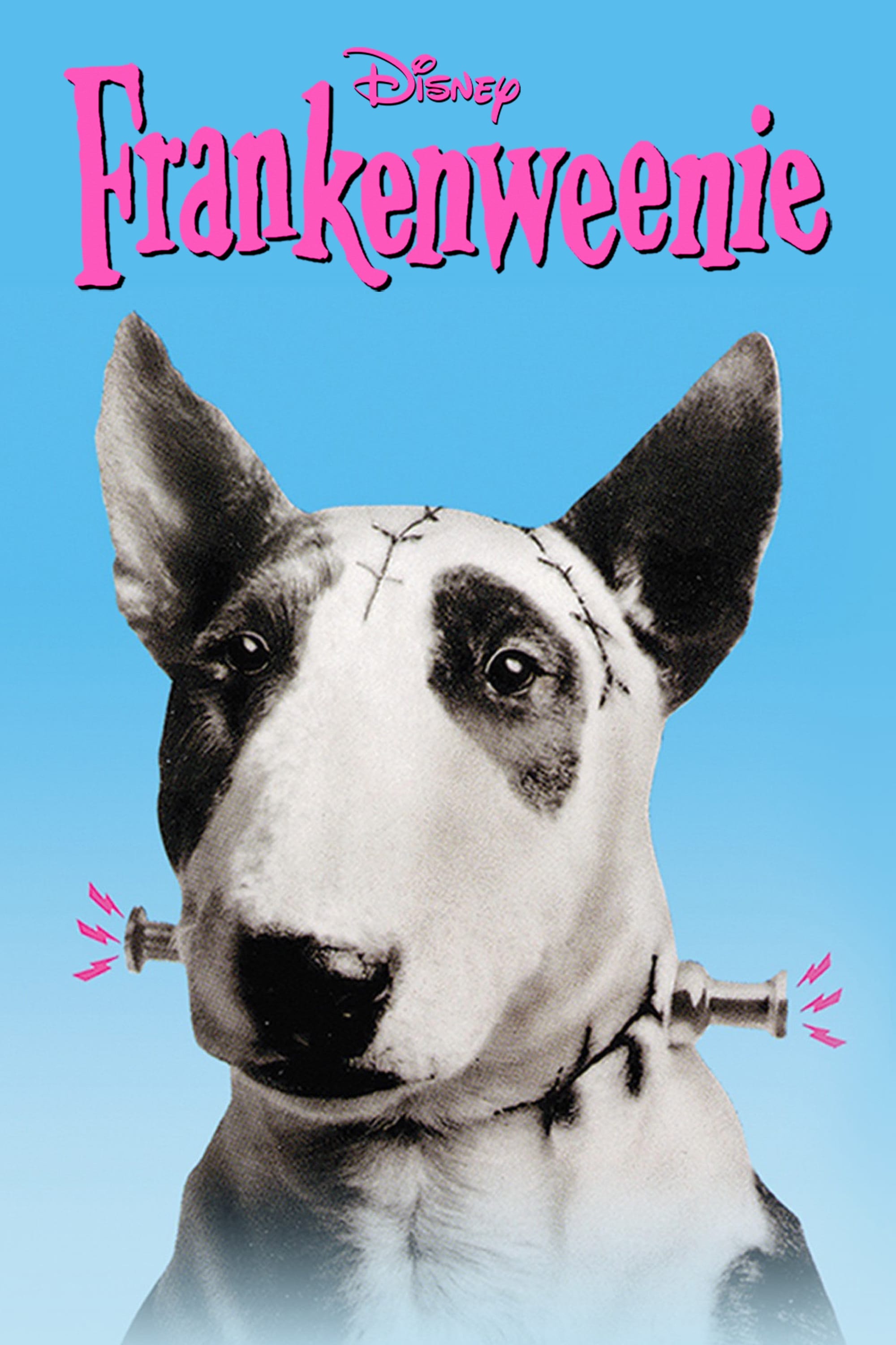 프랑켄위니(Frankenweenie, 1984)