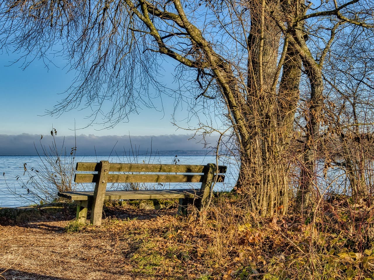 조용히 흐르는 강 바로 앞에 커다란 나무가 잎을 다 떨구고 마른 가지로 서 있고&amp;#44; 그 옆에 아무도 없는 나무 벤치가 강을 바라보고 있다. 외로운 풍경이다