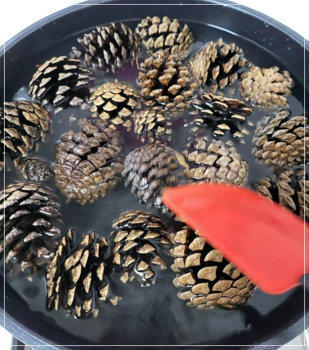 솔방울 끓이기