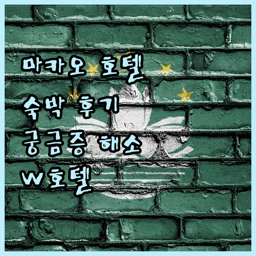 W 마카오 스튜디오 시티 호텔 숙박 