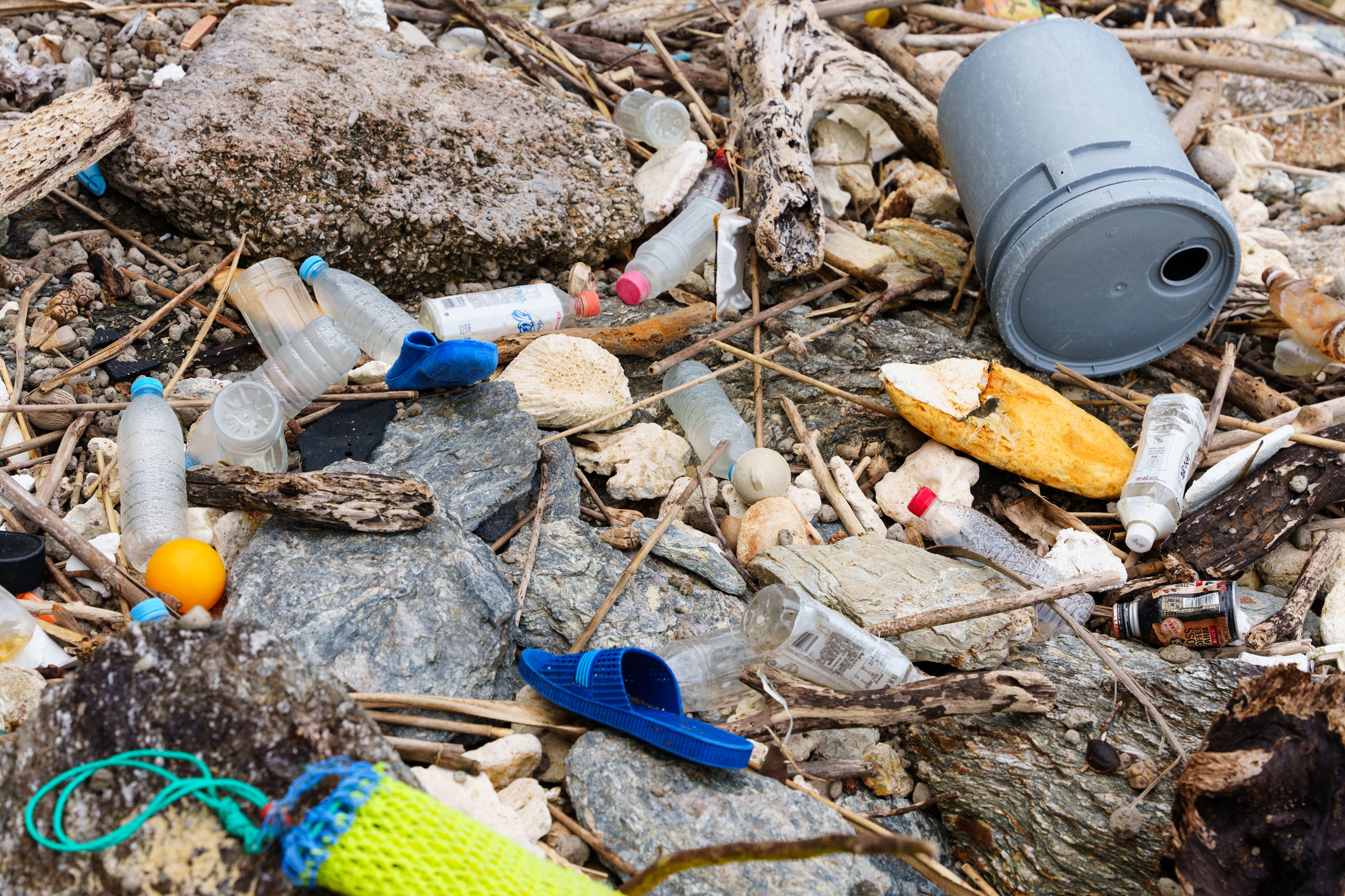 내분비계 교란 가능성이 있는 미세플라스틱 첨가제의 영향