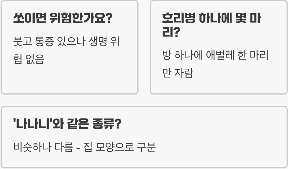 뱀허물쌍살벌 특징과 생김새 구별하는 방법부터 습성까지 완벽 정리