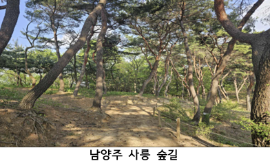남양주 사릉