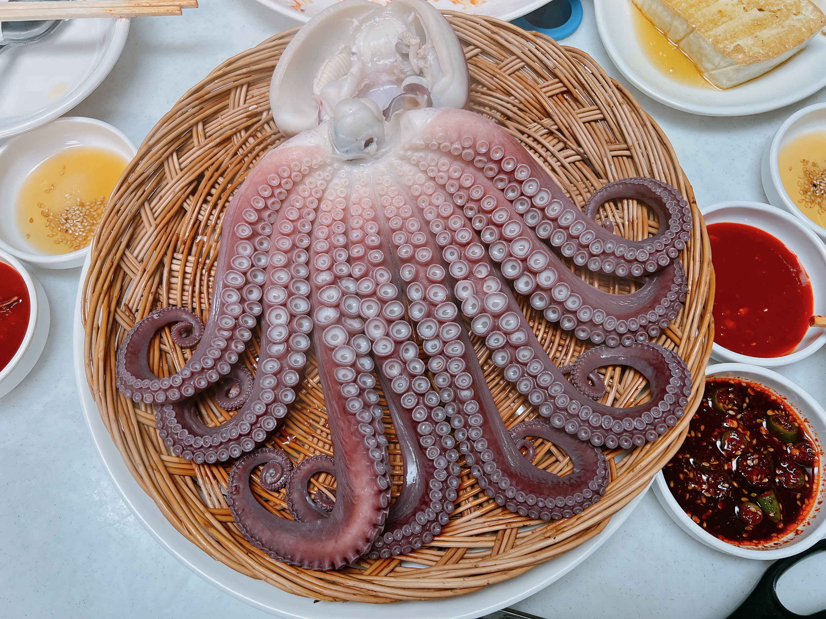 삼척 쏠비치리조트 근처 맛집
