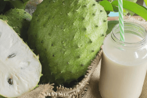 그라비올라 효능13