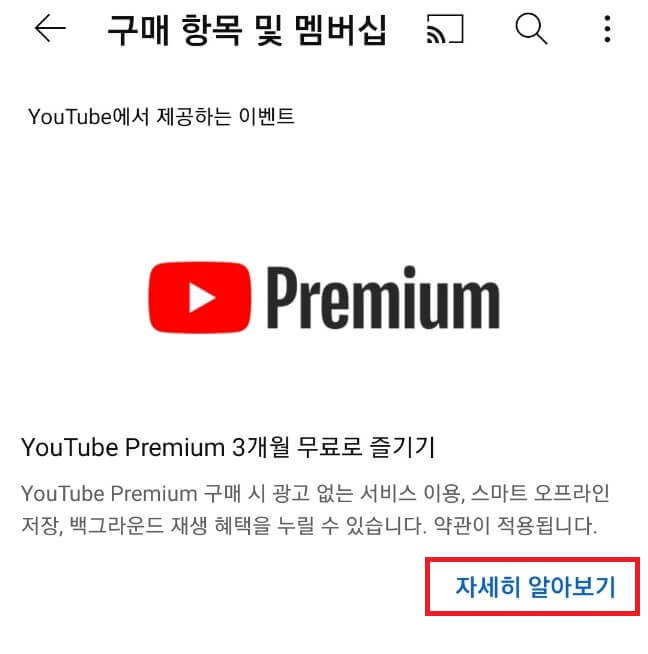 KT 유튜브 프리미엄 혜택