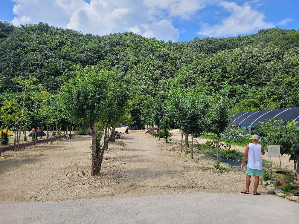 도마치 자연그대로 캠핑장 이용 후기