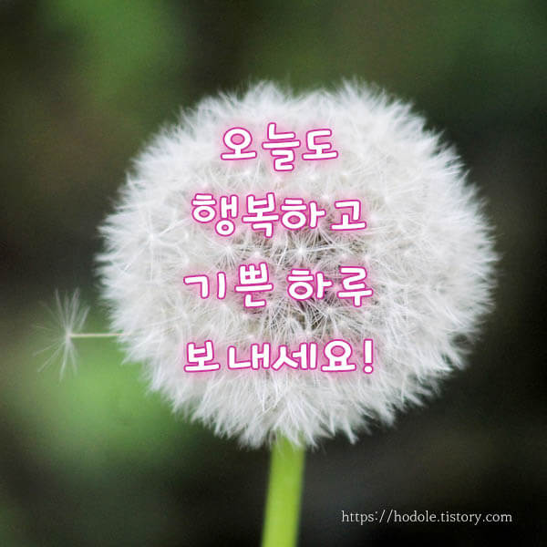 오늘-아침인사-이미지