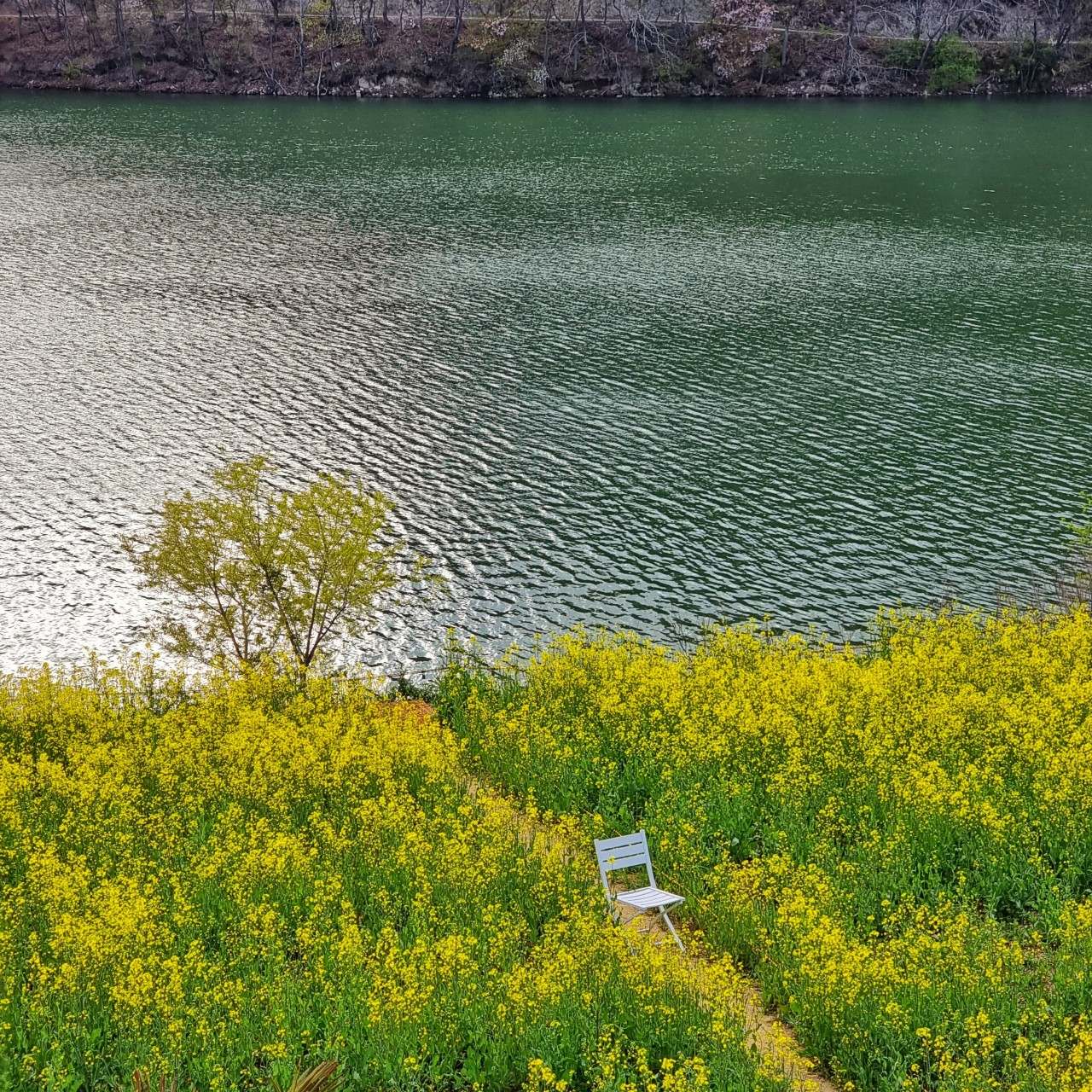 경주 바실라 카페