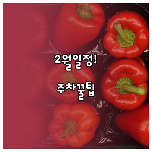 트레이더스 홀세일 클럽 위례점 2월 ..