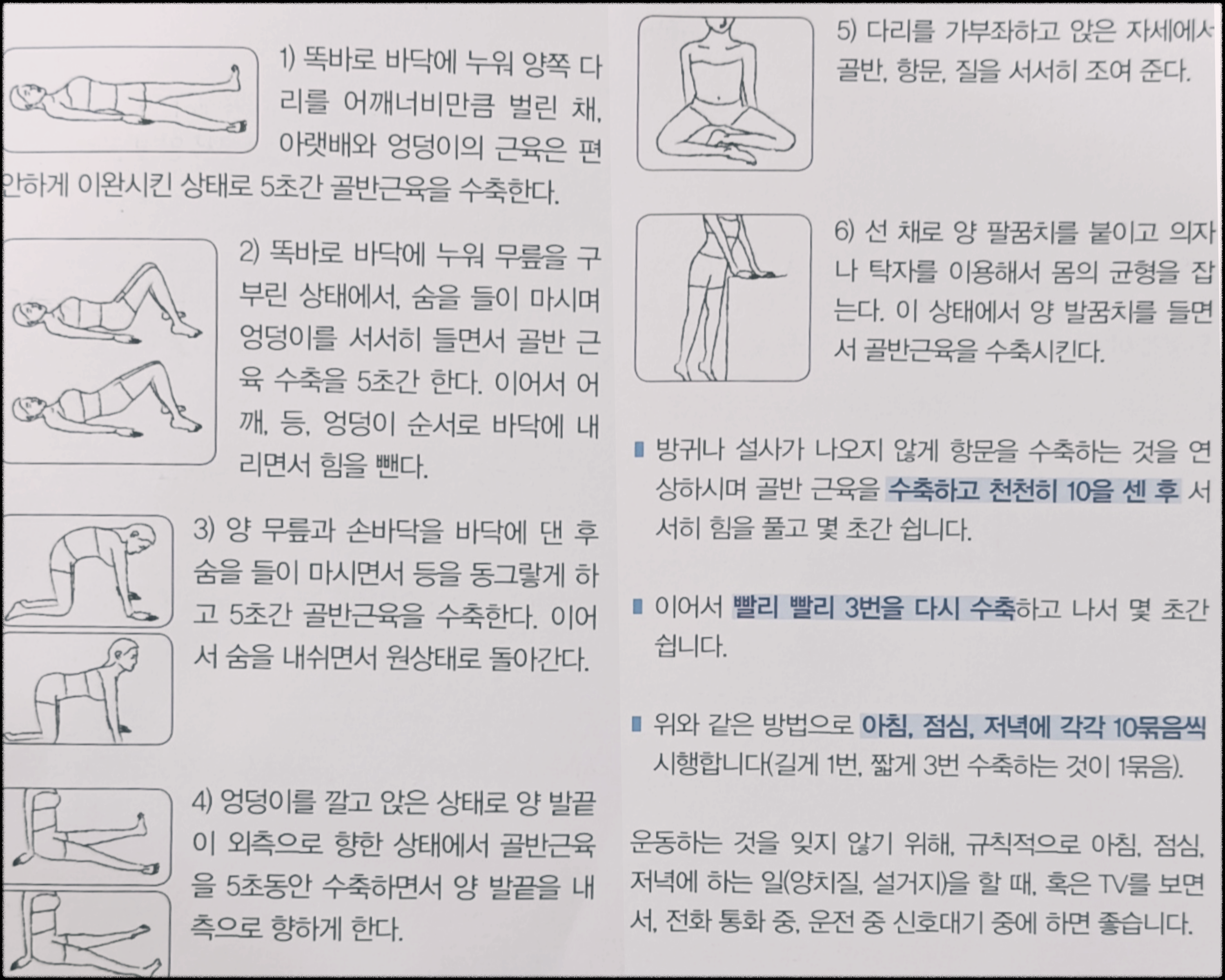 케겔운동. 골반운동