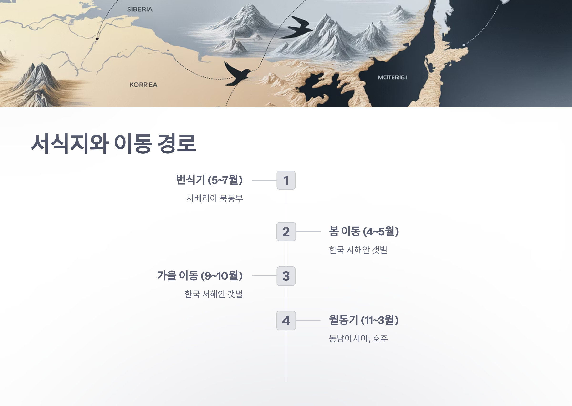 참조-붉은어깨도요-3