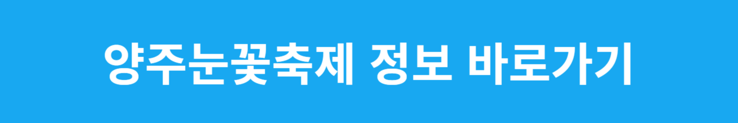 양준눈꽃축제 썰매장