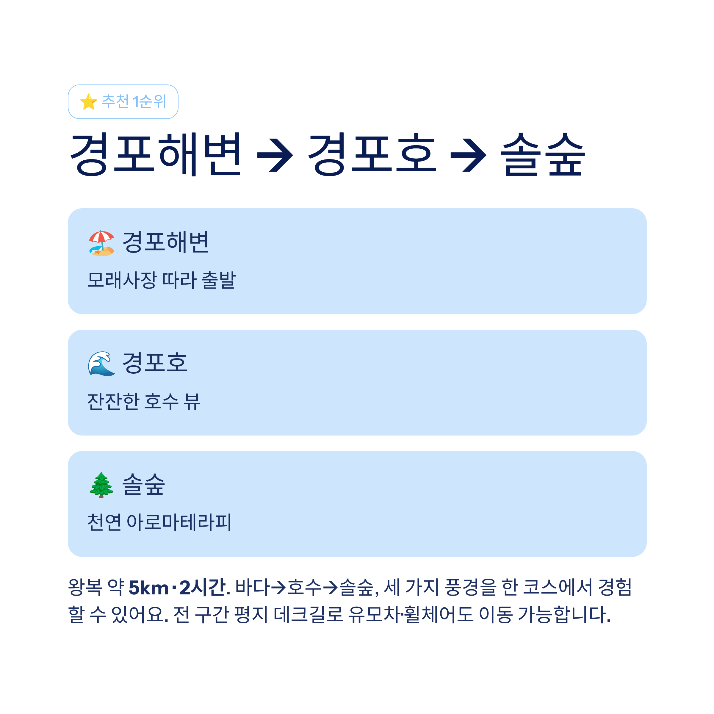 강릉 근교 산책 달리기 트레킹 코스 추천 ❘ 바다와 소나무 숲 사이를 걷는 법