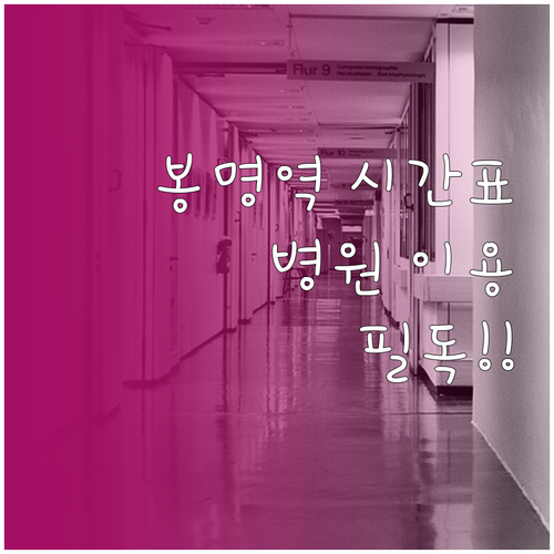 봉명역 배차 간격 정보와 순천향대 천..