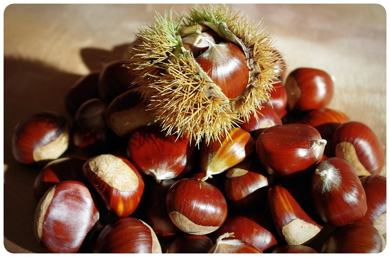 밤에 들어 있는 주요 영양소