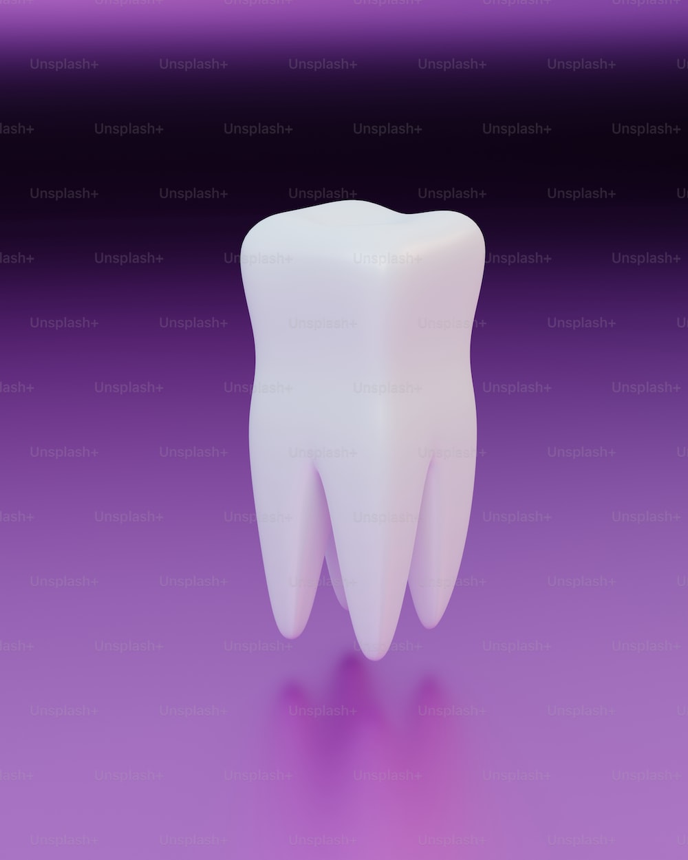 잇몸건강 알아보기