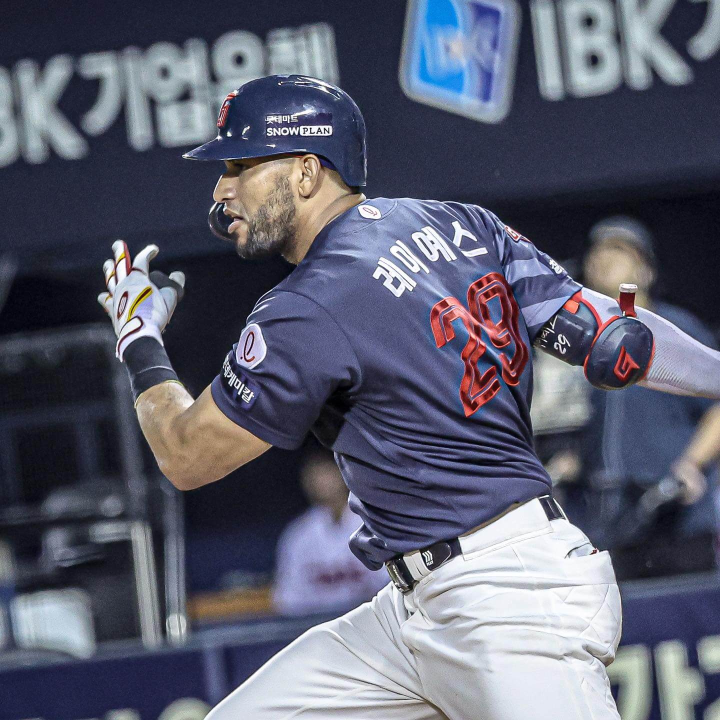 롯데 레드 팬스티벌 콘서트