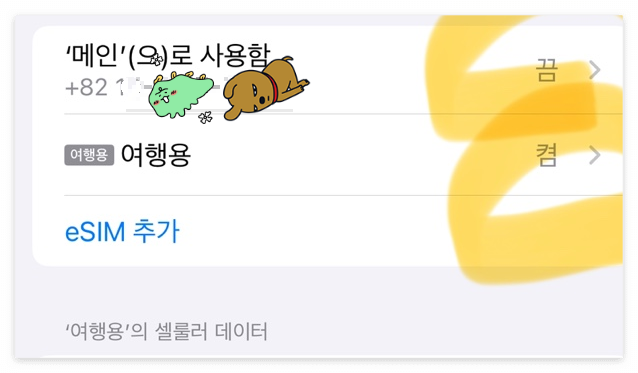 아이폰esim