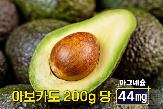 마그네슘 많은 음식 아보카도 마그네슘 하루 권장량 부작용