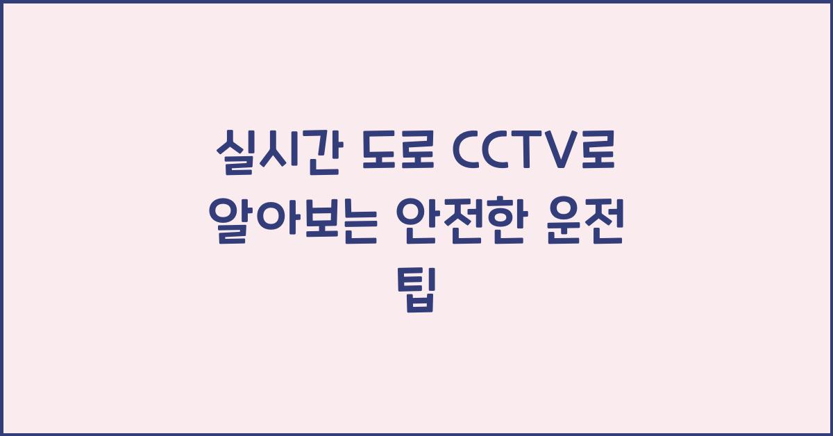 실시간 도로 cctv