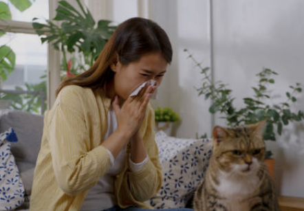 가래에 좋은 음식 BEST6