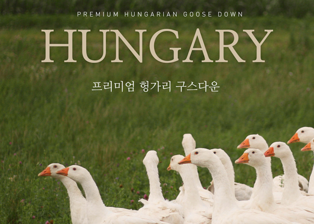 클래식 패브릭 구스 이불