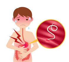 구충제 복용 시기와 방법