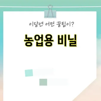 멀칭 필수 가이드 비닐 왕겨 볏짚 잡초 수분관리 효과_24