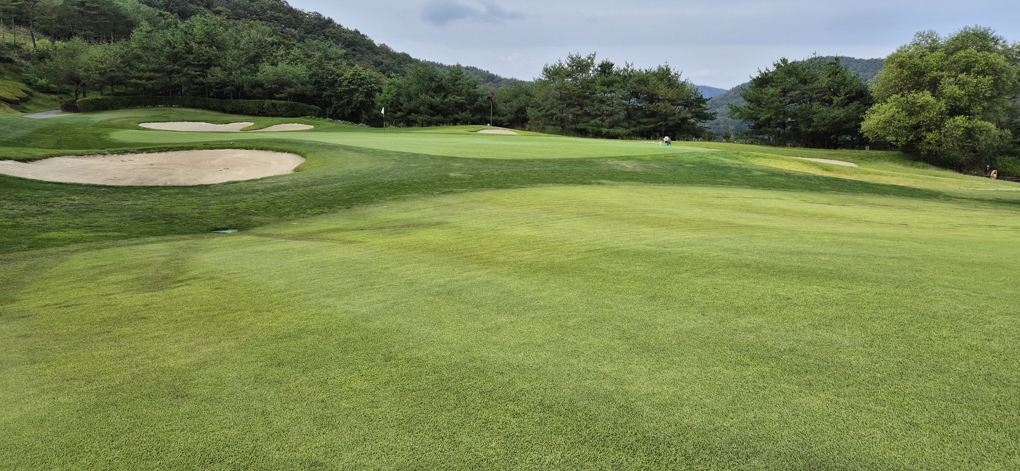 소노펠리체cc이스트