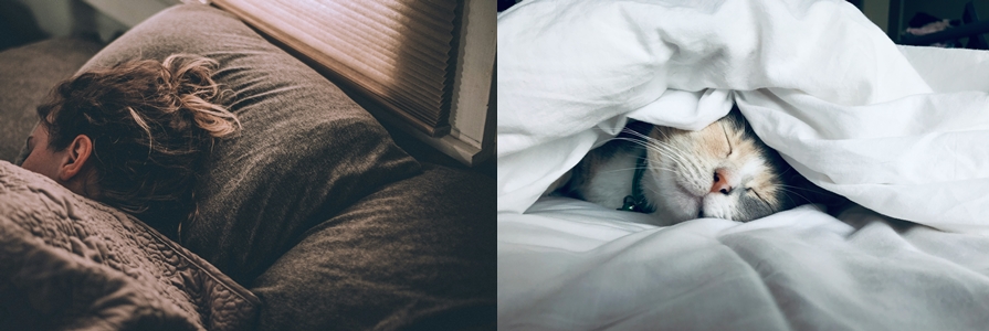 수면의 질을 높이는 방법